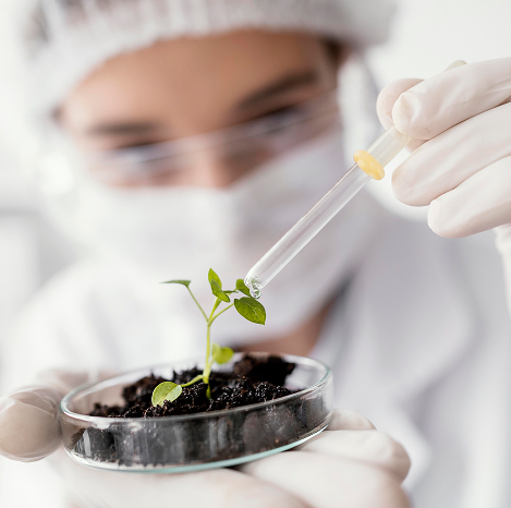 Análise de Fertilizantes